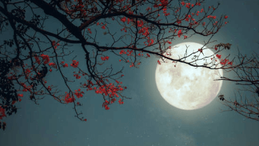 Clipart:9djeyrq3u8a= Full Moon