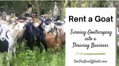 Rent a Goat Net Worth: A Unique Business Idea Explored