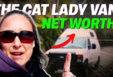 The Cat Lady Van Net Worth: Van Life YouTuber's Financial Success