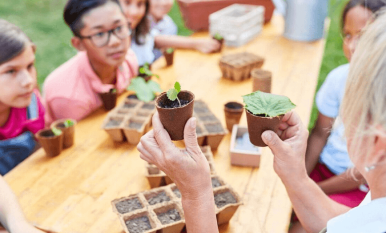 Benefits of Attending a Kindergarten Summer Camp
