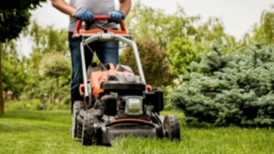 Grass Cutting Mississauga Services for a Perfect Lawn Year-Round