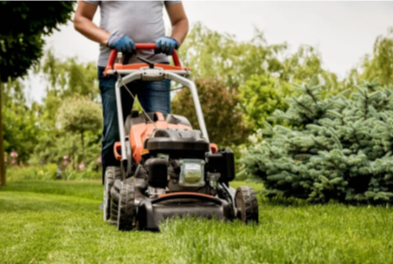 Grass Cutting Mississauga Services for a Perfect Lawn Year-Round