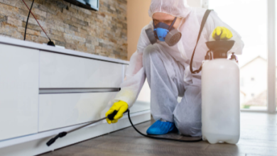 Home Pest Control Services Vancouver Efficient Solutions for Every Household