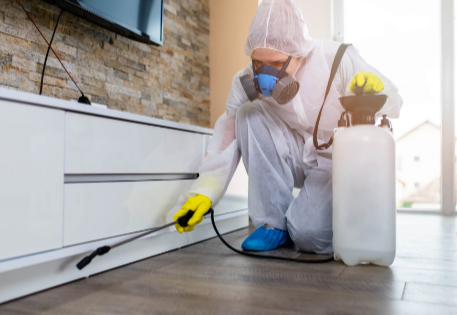 Home Pest Control Services Vancouver Efficient Solutions for Every Household