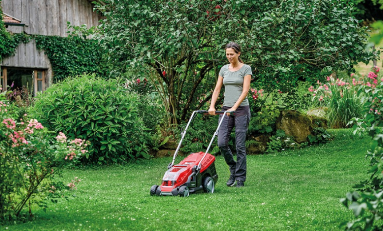 Tips for Maintaining a Healthy Lawn Year-Round