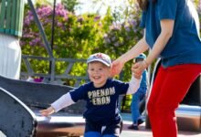 complete guide to embedtree