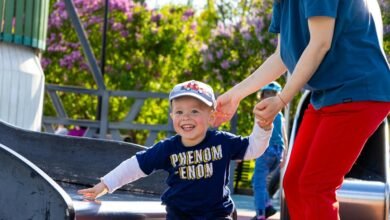 complete guide to embedtree