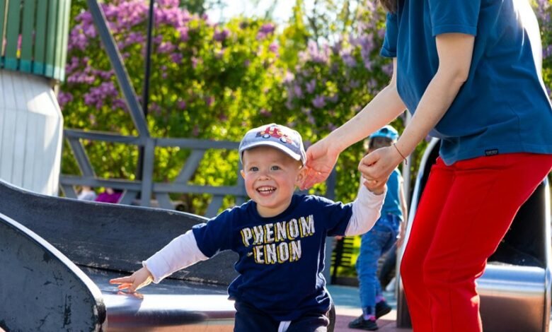 complete guide to embedtree