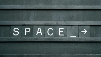 movezwap org comprehensive overview