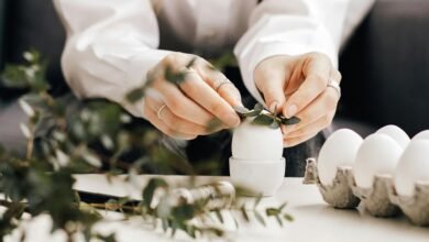 movi zwap organization functionality