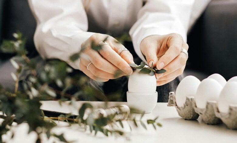 movi zwap organization functionality