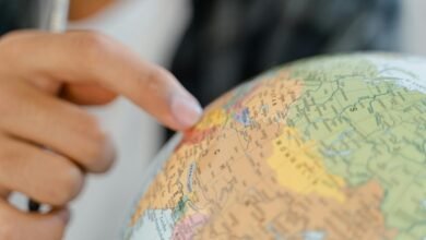 movie rulz vip guide