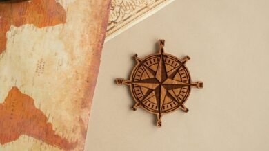 movierulez informational guide overview