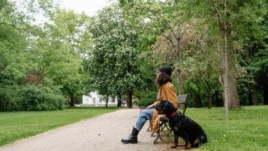 movies4me cc guide overview