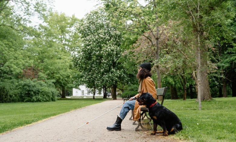 movies4me cc guide overview