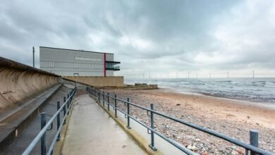 moviesbay streaming process explained