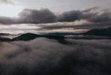 movieswap informational overview provided