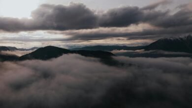 movieswap informational overview provided