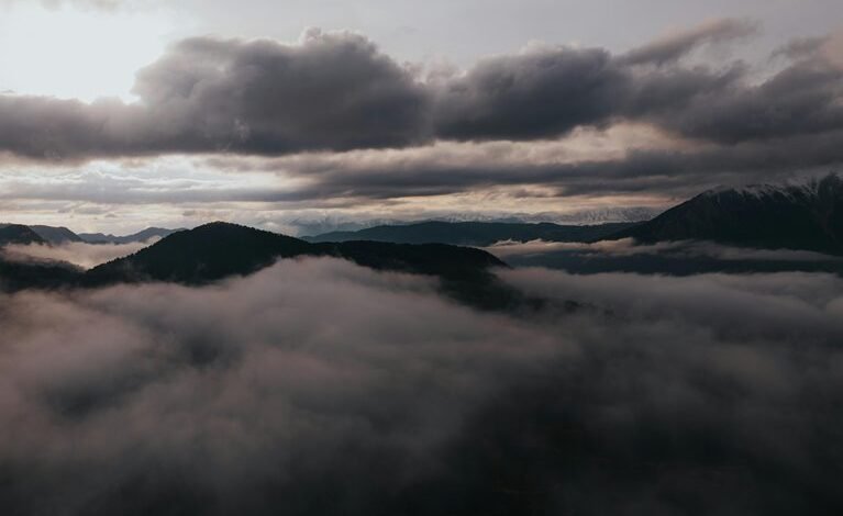 movieswap informational overview provided