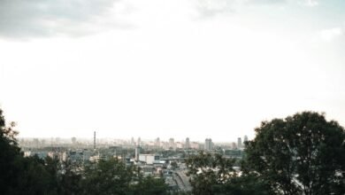 digital advantage dominance achieved