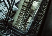 leadership in vertex flow