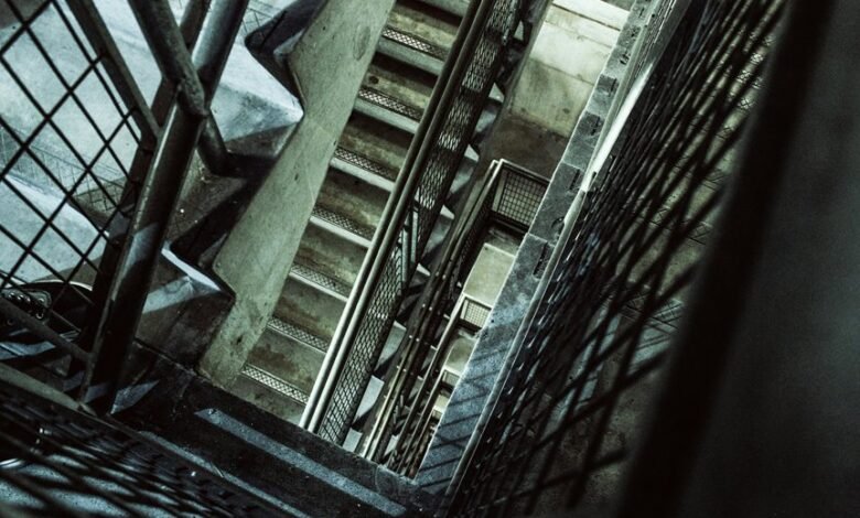 leadership in vertex flow