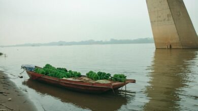 market growth strategy implementation