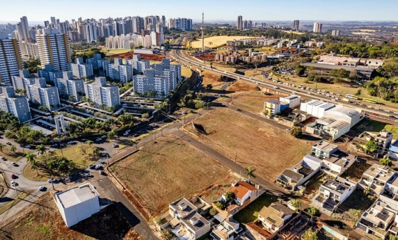 modern growth development strategies