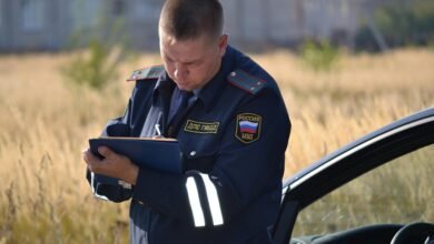 safety notes and reports