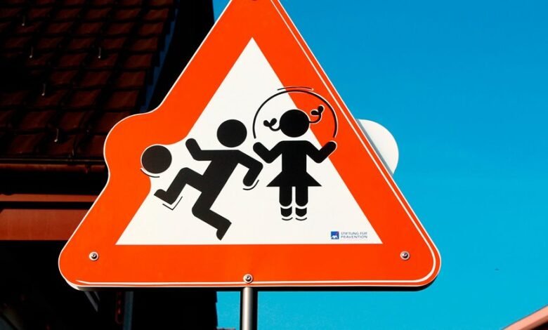 safety registry alerts entry