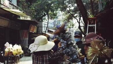 titan ladder market path