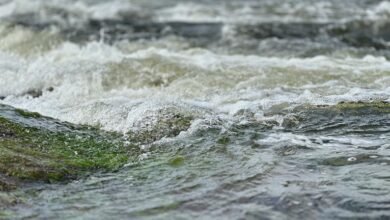 titan stream dynamics overview